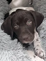 processed/f1f19e6e-1d00-40d3-b983-569812aa4c91/listing/d68c68f9-bd76-4a68-b10e-f597ed79a88a/245bd145-36f1-43f3-9c01-c330340ac438