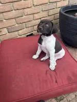 processed/f1f19e6e-1d00-40d3-b983-569812aa4c91/listing/d68c68f9-bd76-4a68-b10e-f597ed79a88a/56d652e9-d8e6-4841-881c-56ef3617c384