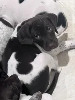 processed/f1f19e6e-1d00-40d3-b983-569812aa4c91/listing/d68c68f9-bd76-4a68-b10e-f597ed79a88a/b4b129d3-98d8-4fee-b843-f3bbe57b5933