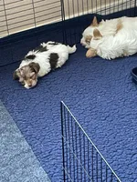 Facility photo