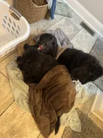 processed/f1f7de9c-8072-4849-b2f1-6707cc290372/facility/35ecb7d5-596c-444c-ab41-a884d8e3a9c7