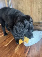 processed/f1f7de9c-8072-4849-b2f1-6707cc290372/facility/49f9b3c4-d4ed-408a-8b78-6195dd928994