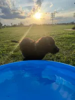 processed/f1f7de9c-8072-4849-b2f1-6707cc290372/facility/952c791b-41b6-40a5-a8b7-4fe3da3a58ec