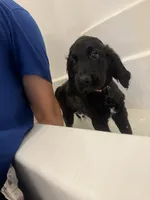 processed/f1f7de9c-8072-4849-b2f1-6707cc290372/facility/9f554a67-a5e3-4432-bcec-e701dd3551b1