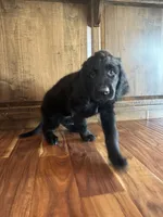 processed/f1f7de9c-8072-4849-b2f1-6707cc290372/facility/bbbddef2-a1a7-4012-ad6e-148f7804835f