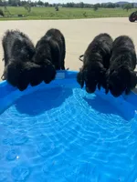 processed/f1f7de9c-8072-4849-b2f1-6707cc290372/facility/bc3c51f3-8a99-4006-b4cc-3f9669fd7945