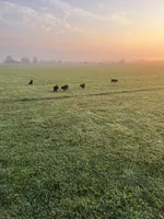 processed/f1f7de9c-8072-4849-b2f1-6707cc290372/facility/f7f426d4-e8b8-4fc4-827c-e416a389b39d