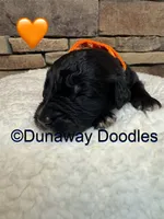 processed/f1f7de9c-8072-4849-b2f1-6707cc290372/listing/0ded11b2-22ae-4f84-b208-e242c10c1cf9/0ececbcd-b20a-47d2-8118-07c6bb4e769c