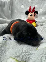 processed/f1f7de9c-8072-4849-b2f1-6707cc290372/listing/0ded11b2-22ae-4f84-b208-e242c10c1cf9/12f8b398-b2a6-4e30-8353-bd0b0c499231