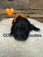 processed/f1f7de9c-8072-4849-b2f1-6707cc290372/listing/0ded11b2-22ae-4f84-b208-e242c10c1cf9/c08b9a08-2e26-42b5-b918-17e52cdcaef4