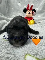 processed/f1f7de9c-8072-4849-b2f1-6707cc290372/listing/0ded11b2-22ae-4f84-b208-e242c10c1cf9/da668b43-92d7-4f80-bdfe-ce8be55a81c4