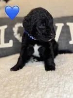 processed/f1f7de9c-8072-4849-b2f1-6707cc290372/listing/19639c8b-2aae-4962-942c-019f702b3c10/07dc5a8b-0b25-411a-aaed-471d777d2417