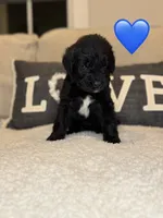 processed/f1f7de9c-8072-4849-b2f1-6707cc290372/listing/19639c8b-2aae-4962-942c-019f702b3c10/438341e6-a04a-4e63-bcb0-1786d25b67d9