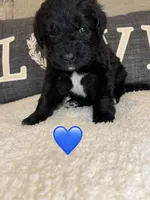 processed/f1f7de9c-8072-4849-b2f1-6707cc290372/listing/19639c8b-2aae-4962-942c-019f702b3c10/a29bd269-96c1-4735-8d47-53ebed34a1d2