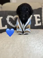 processed/f1f7de9c-8072-4849-b2f1-6707cc290372/listing/19639c8b-2aae-4962-942c-019f702b3c10/b623edbc-8954-42a3-832e-28beb8936f4e