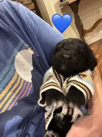 processed/f1f7de9c-8072-4849-b2f1-6707cc290372/listing/19639c8b-2aae-4962-942c-019f702b3c10/f33d130b-30fa-432a-886e-07faea2b17be