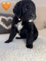 processed/f1f7de9c-8072-4849-b2f1-6707cc290372/listing/384038a3-bfc8-4d04-9852-acd0841ad304/258d9e11-2833-4bc7-b38f-5d0e38b1ca69