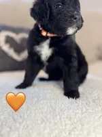 processed/f1f7de9c-8072-4849-b2f1-6707cc290372/listing/384038a3-bfc8-4d04-9852-acd0841ad304/71410452-edd6-4680-a80e-28dd53b9ec06