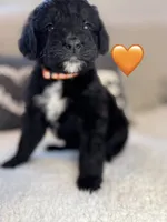 processed/f1f7de9c-8072-4849-b2f1-6707cc290372/listing/384038a3-bfc8-4d04-9852-acd0841ad304/7343dce7-ac6a-4cfb-91f8-e89b566cce0c