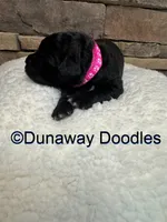 processed/f1f7de9c-8072-4849-b2f1-6707cc290372/listing/61215b09-a4b3-41f9-b0fc-f9a916760060/0db25365-5455-43e2-8869-1abdd7bcc57f