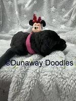 processed/f1f7de9c-8072-4849-b2f1-6707cc290372/listing/61215b09-a4b3-41f9-b0fc-f9a916760060/6366580e-f01d-4925-a767-f519d462ae8d