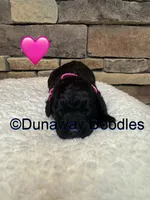 processed/f1f7de9c-8072-4849-b2f1-6707cc290372/listing/61215b09-a4b3-41f9-b0fc-f9a916760060/6b790129-b2ce-444d-b1a5-d2f1d8b4599d