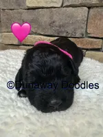 processed/f1f7de9c-8072-4849-b2f1-6707cc290372/listing/61215b09-a4b3-41f9-b0fc-f9a916760060/93b8553b-9385-409f-99e6-054c13f72267