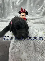 processed/f1f7de9c-8072-4849-b2f1-6707cc290372/listing/61215b09-a4b3-41f9-b0fc-f9a916760060/bab42a32-66e2-461a-933f-bf6f25c50c69