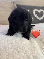 processed/f1f7de9c-8072-4849-b2f1-6707cc290372/listing/67e333fc-be36-44e5-b5ee-1b66d9e0d300/10f7aaf9-b61c-4647-96df-e52413fa15a5