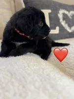 processed/f1f7de9c-8072-4849-b2f1-6707cc290372/listing/67e333fc-be36-44e5-b5ee-1b66d9e0d300/3ee9ffb8-2cd8-45bc-aff9-c80dc981efb7