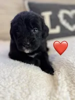 processed/f1f7de9c-8072-4849-b2f1-6707cc290372/listing/67e333fc-be36-44e5-b5ee-1b66d9e0d300/417ad36f-8ae8-425a-922d-e33f2b84fb62