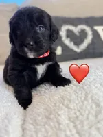 processed/f1f7de9c-8072-4849-b2f1-6707cc290372/listing/67e333fc-be36-44e5-b5ee-1b66d9e0d300/ad8e7bd1-3e30-40ec-adc4-3c16fda4b564