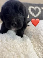 processed/f1f7de9c-8072-4849-b2f1-6707cc290372/listing/67e333fc-be36-44e5-b5ee-1b66d9e0d300/aebaf872-70cd-41d8-b1e2-d4330bc1e439