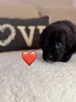 processed/f1f7de9c-8072-4849-b2f1-6707cc290372/listing/67e333fc-be36-44e5-b5ee-1b66d9e0d300/d1f8e3a6-327e-46c2-8739-08704c49a8b2