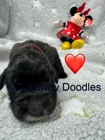 processed/f1f7de9c-8072-4849-b2f1-6707cc290372/listing/73f51d87-767e-4e51-a98d-315f13a4a4a4/308e5b98-3347-455a-95a3-e930862fa314