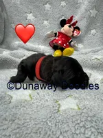 processed/f1f7de9c-8072-4849-b2f1-6707cc290372/listing/73f51d87-767e-4e51-a98d-315f13a4a4a4/3a4724f5-3b57-404a-8838-03661543aeb6