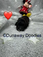 processed/f1f7de9c-8072-4849-b2f1-6707cc290372/listing/73f51d87-767e-4e51-a98d-315f13a4a4a4/7c8c4c6d-a78f-43b9-98e4-60d83f72604f