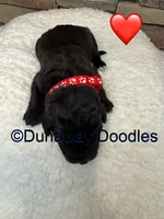 processed/f1f7de9c-8072-4849-b2f1-6707cc290372/listing/73f51d87-767e-4e51-a98d-315f13a4a4a4/c58a75c3-9de9-49c7-a936-3dd50bac7b6d