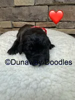 processed/f1f7de9c-8072-4849-b2f1-6707cc290372/listing/73f51d87-767e-4e51-a98d-315f13a4a4a4/efb7f2e8-3169-4e20-8db3-13e96b8408c0