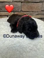 processed/f1f7de9c-8072-4849-b2f1-6707cc290372/listing/73f51d87-767e-4e51-a98d-315f13a4a4a4/f68b60dc-80cc-400b-a9ae-5eaf834d0086