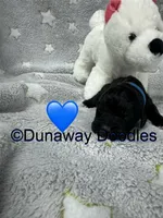 processed/f1f7de9c-8072-4849-b2f1-6707cc290372/listing/88d7da72-fc29-4076-9d8e-be8f60b88797/28c507ed-c8f1-49c5-b356-09ec213f5fab