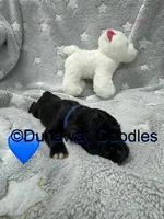 processed/f1f7de9c-8072-4849-b2f1-6707cc290372/listing/88d7da72-fc29-4076-9d8e-be8f60b88797/814b13bc-1f3b-40aa-9f9b-0853b6635ddf