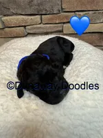 processed/f1f7de9c-8072-4849-b2f1-6707cc290372/listing/88d7da72-fc29-4076-9d8e-be8f60b88797/b0515acd-3a81-47ca-8f13-533c1dcc3330