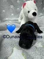 processed/f1f7de9c-8072-4849-b2f1-6707cc290372/listing/88d7da72-fc29-4076-9d8e-be8f60b88797/f06fac63-19fa-4b0d-bbe2-89ced6b48c40