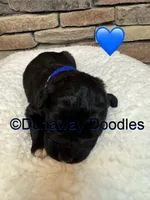 processed/f1f7de9c-8072-4849-b2f1-6707cc290372/listing/88d7da72-fc29-4076-9d8e-be8f60b88797/f412a833-8580-4657-80d9-54e20ed1ebf8