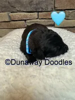 processed/f1f7de9c-8072-4849-b2f1-6707cc290372/listing/8f484b48-8f10-4f69-930b-ce31188a228a/7963a55b-13c7-4488-b9a0-a30d19015e27