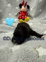 processed/f1f7de9c-8072-4849-b2f1-6707cc290372/listing/8f484b48-8f10-4f69-930b-ce31188a228a/a7aefa6d-0fe1-4ea2-8e7b-4ff7db288837