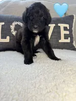 processed/f1f7de9c-8072-4849-b2f1-6707cc290372/listing/90dd985d-5a76-4297-92e0-8079c813b37e/b826827c-9d8f-47e0-846d-3e96f2c0fad4