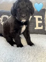 processed/f1f7de9c-8072-4849-b2f1-6707cc290372/listing/90dd985d-5a76-4297-92e0-8079c813b37e/e945ad43-8cef-4fb5-ab2f-c8cd0dc6f966