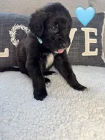 processed/f1f7de9c-8072-4849-b2f1-6707cc290372/listing/90dd985d-5a76-4297-92e0-8079c813b37e/eacff92e-f378-40ec-8d11-c83dc38a2347